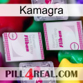 Kamagra 33